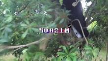 当跑酷飞遇到小丑会摩擦出什么样的火花呢，敬请关注。 #第一视角  #代入感很强  #吓人   #特殊
