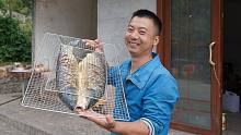 华农兄弟：在野池塘忙活半天，什么都没抓到，最后只能捞自家的鱼来烤