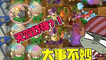 植物大战僵尸：被魅惑的海鸥？投出无效的炸弹？大嘴：大事不妙！