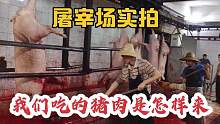 5小时屠宰700头生猪的屠宰场是怎样运作的，看完后惊讶不已