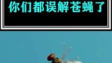 这些年，你真的了解你身边的苍蝇吗，很有趣的科普