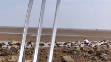 海边赶海退大潮，带着金刚狼爪寻大货，还有许多奇怪的海洋小生物