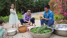 华农兄弟：嫩粽叶长出来了，摘点来包粽子，很香很好吃哦