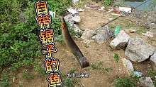 小河道探钓自带锯子的鱼，我们叫辣追，你们那叫啥？