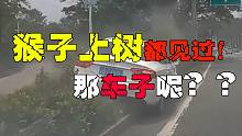 大妈，马路不是菜市场，用不着慢悠悠的逛，看出事故了吧（7.26）