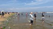 来山东日照海边冲浪还是免费的，老文带大家体验一下