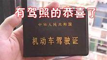 有驾照的恭喜了？新政策放宽？让人拍手叫好？车主：幸好考得早？