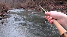 飞蝇 溪钓鳟鱼 Winter Trout Fishing for BIG Trout STREAME