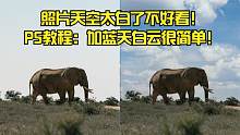 照片天空太白了不好看！PS教程：加蓝天白云很简单！