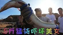粉丝团特地赶来找吴哥赶海，连抓几桶场面沸腾，5斤猛货吓坏美女
