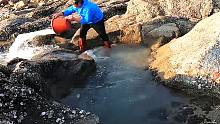 吴哥赶海寻找海货，遇到水坑里窜动，舀干后坑底海鲜抓得乐开花了