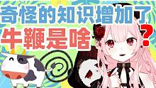 牛鞭是什么？奇怪的知识增加了！【直播切片】