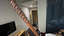 5.0移动速度棒球棍