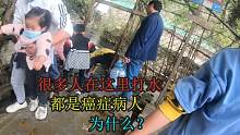 实拍癌症村，很多癌症患者在打泉水，都说这里空气好，水质好