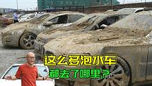 几十万台泡水车，最后都去哪了？