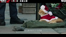 本周院线精彩新片： 《流浪猫鲍勃2：鲍勃的礼物》 《我的父亲焦裕禄》 《拯救甜甜圈：时空大营救》 《