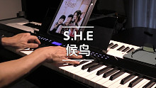 候鸟 S.H.E 钢琴版
