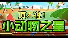 小动物之星