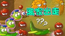 植物大战僵尸：离家出走的植物？蚕豆宝宝消失是怎么回事？