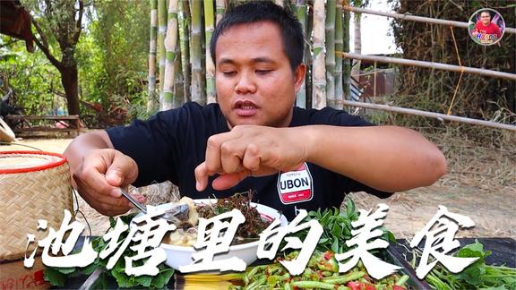 小黑哥煮一锅塘角鱼，肉质鲜嫩，再配上一盘凉拌四季豆