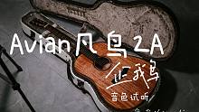 【Avian Guitar】用胖胖的企鹅吉他演奏周杰伦的《菊花台》是什么体验 arranged by