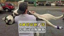 4种常见的错误抱狗方式！长期错误抱狗可致瘫痪！没事别乱抱狗