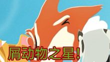 小动物之星