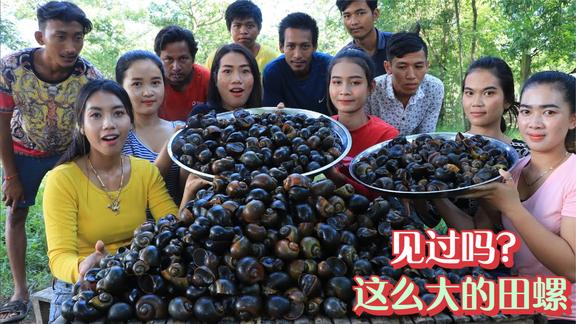 这么大的田螺你见过吗？，这可是当地有名的水蜗牛，直接当饭吃