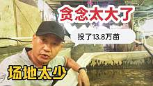 120平方养殖棚标准可养10万幼苗，农民投了18万苗，还说远远不够