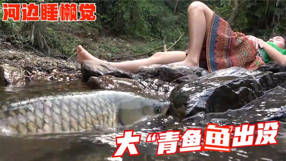 村花独自在河边玩耍，怎料碰见一窝鲶鱼群搁浅，气喘吁吁捕开心咯