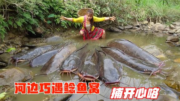 村花独自在河边玩耍，怎料碰见一窝鲶鱼群搁浅，气喘吁吁捕开心咯