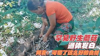 泰國(guó)實(shí)習(xí)小妹戶外直播_泰國(guó)實(shí)習(xí)小妹視頻直播 - 虎牙直播