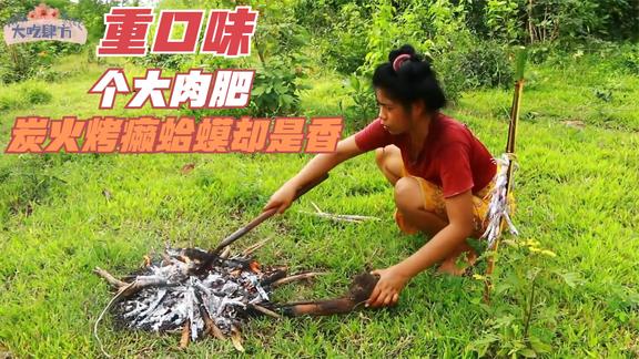 真是大千世界无奇不有，泰国的捕猎陷阱太新奇了，拿木棒往地下插