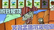 植物大战僵尸：我是植物之豌豆屋顶又名“孟德尔实验室”？