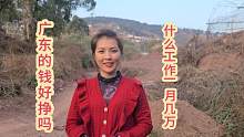 姑娘决定到广东打工，到底什么工作？一月能赚几万回家