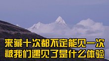 来藏十次都不定能见一次！被我们遇见了是什么体验？