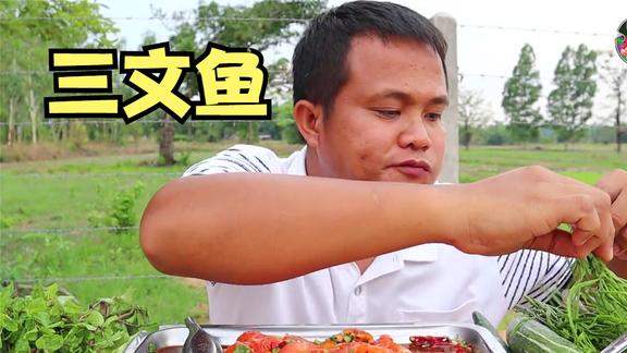 萨瓦迪卡，三文鱼