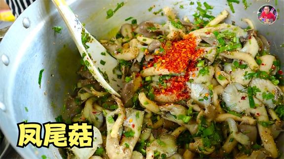 萨瓦迪卡，小黑哥今天吃凤尾菇，看起来真有食欲