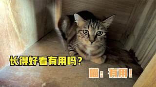 長得好看就是不一樣，才兩天沒出鏡就被網(wǎng)友惦記了，看臉的時代呀