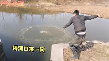 都说农村桥洞大鱼多，小伙带上撒网前去试探，结果真是意想不到啊