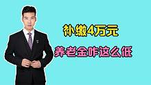 补缴了养老保险，养老金都能领5000元？我补缴4万元，能领多少？