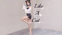 【虎牙】纯欲风小黑猫？猫步轻俏❤Like A Cat