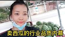 卖西瓜几十年经验的老板说出黑幕，小清做不出来，结果损失不少