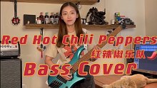 【圈圈酱】红辣椒乐队的贝斯谁不爱｜Red Hot Chili Peppers （Bass Cover