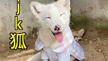 全网最甜美的jk小狐狸！！！