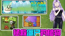 植物大战僵尸：拯救僵尸的植物？大嘴：良心大大滴好！