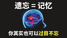 过目不忘的记忆方法，文科类特别好用