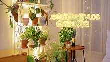 家里的微醺仲夏夜｜放空感家居VLOG