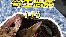 丁丁比例最长的生物？海洋中的恶魔，我们口中的美味！上集 #夺冠2021