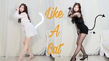 【fx】肉肉小猫咪一键换装 AOA-Like A Cat全曲翻跳｜竖屏万粉作